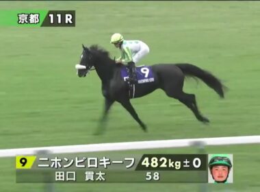 【本馬場入場】第41回マイルチャンピオンシップ(GⅠ) 2024/11/17