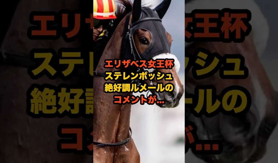 5週連続G1制覇へ！ルメール×ステレンボッシュの最強タッグが帰ってくる！#ステレンボッシュ #競馬 #エリザベス女王杯