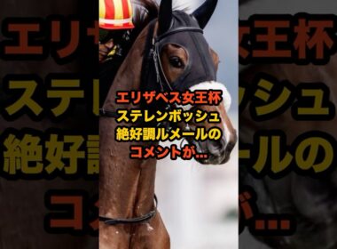 5週連続G1制覇へ！ルメール×ステレンボッシュの最強タッグが帰ってくる！#ステレンボッシュ #競馬 #エリザベス女王杯