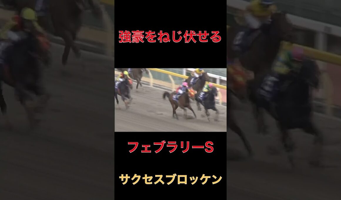 強豪をねじ伏せるサクセスブロッケン【フェブラリーS】#競馬#名馬#G 1