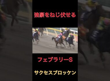 強豪をねじ伏せるサクセスブロッケン【フェブラリーS】#競馬#名馬#G 1