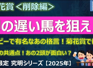 【菊花賞2025＜削除編＞】今回も脚の遅い馬を狙え！実は長距離血統だった！？～外目の枠に入れて、あの馬のこと飛ばそうとしてんだけど！～