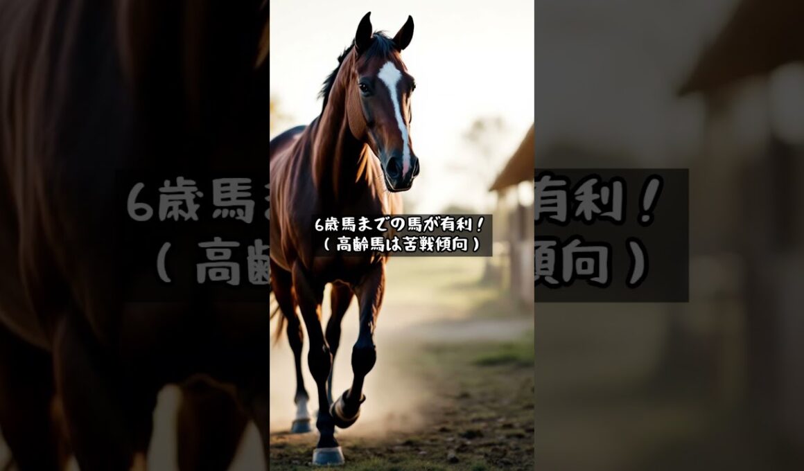 フェブラリーステークス👑 #シンプルkeiba #みんなのkeiba #競馬 #フェブラリーステークス