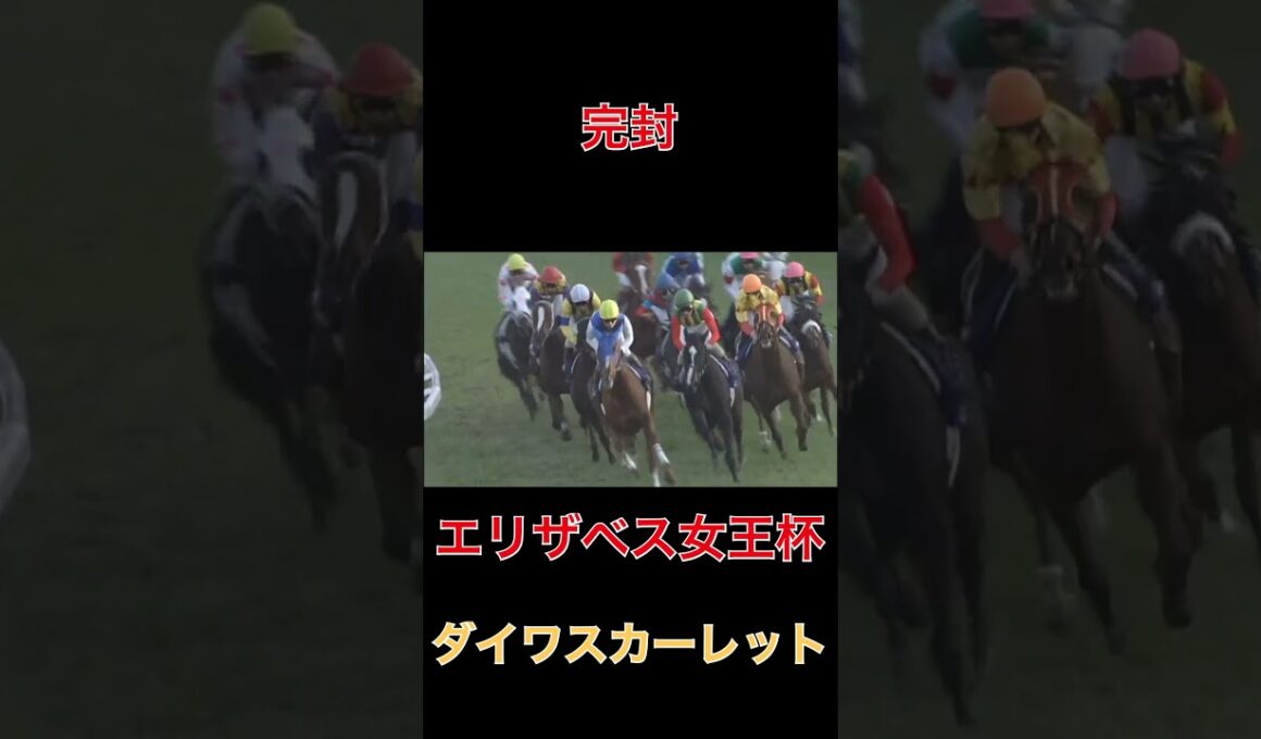 完封ダイワスカーレット【エリザベス女王杯】#競馬#馬券#予想