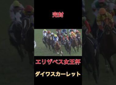完封ダイワスカーレット【エリザベス女王杯】#競馬#馬券#予想