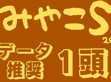 【みやこステークス2025】データ分析｜チャンピオンズカップ出走権を賭けて淀のダートを駆ける！高速決着にも対応のデータ推奨馬