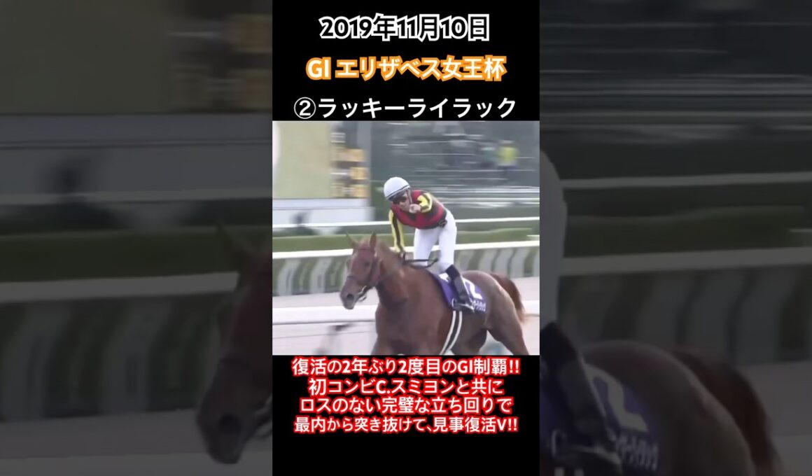 エリザベス女王杯2019 2年ぶり2度目のGⅠ制覇!!初コンビのスミヨンと共に完璧な立ち回りで内から突き抜けて、見事復活V!!#競馬#ラッキーライラック#エリザベス女王杯#オルフェーヴル#shorts