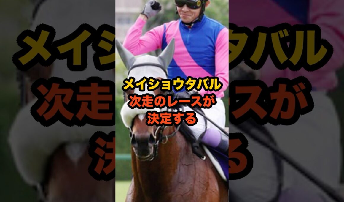 武豊とメイショウタバルの“絆”が胸熱すぎる…有馬記念で奇跡は再び起こるのか。#競馬 #メイショウタバル #有馬記念