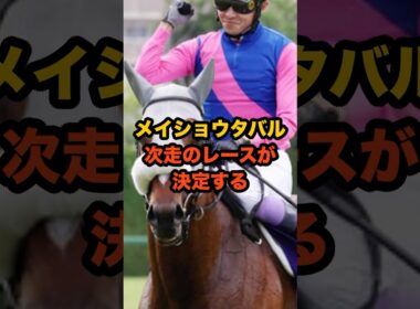 武豊とメイショウタバルの“絆”が胸熱すぎる…有馬記念で奇跡は再び起こるのか。#競馬 #メイショウタバル #有馬記念