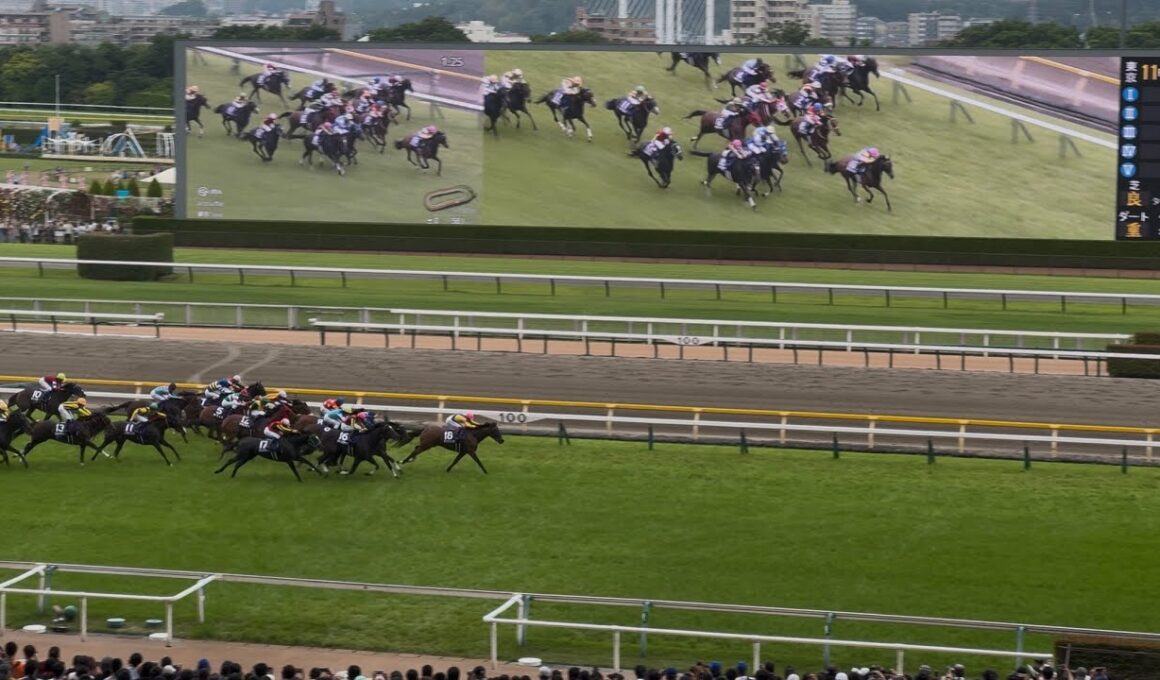 【ヴィクトリアマイル2025】〜大外から凄まじい末脚で全馬飲み込むアスコリピチェーノ、3着にはシランケド？〜【現地レース映像】