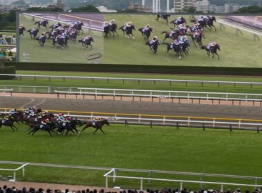 【ヴィクトリアマイル2025】〜大外から凄まじい末脚で全馬飲み込むアスコリピチェーノ、3着にはシランケド？〜【現地レース映像】