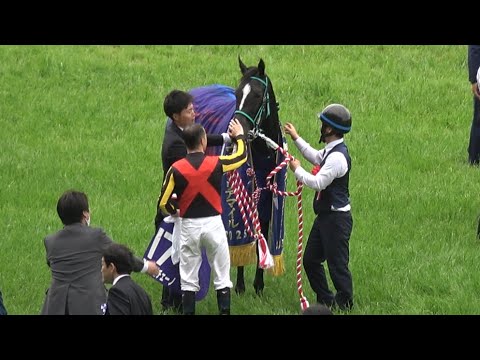 【ヴィクトリアマイル2025】ルメールに撫でられて嬉しそうなアスコリピチェーノ 口取り【現地】