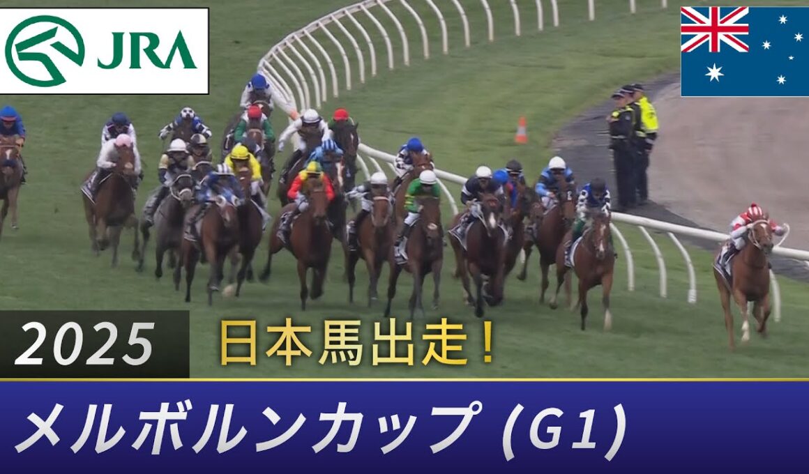 2025年 メルボルンカップ（G1）| JRA公式