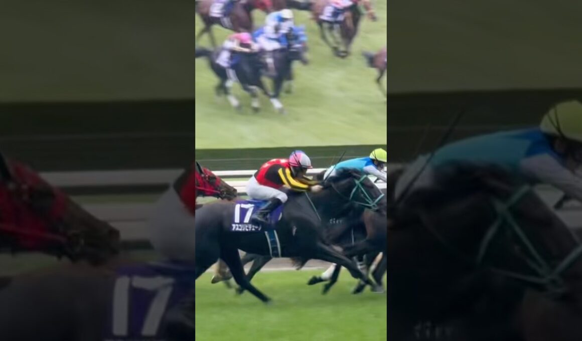 【現地映像】ヴィクトリアマイル2025 アスコリピチェーノとルメール騎手 最後の直線