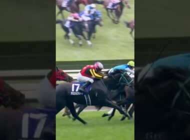 【現地映像】ヴィクトリアマイル2025 アスコリピチェーノとルメール騎手 最後の直線