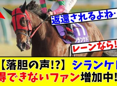 【天皇賞 秋】【落胆の声!?】シランケドまさかの4着の理由に納得できないファンが増加中!?www