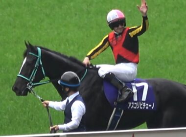 【現地】2025 G1 ヴィクトリアマイル アスコリピチェーノ C.ルメール 大外からの追い込み！！ テンハッピーローズのようにファンサ 【東京競馬場】