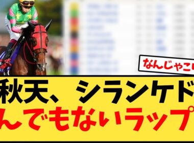 【天皇賞秋】秋天、シランケドとんでもないラップ…【競馬反応集】