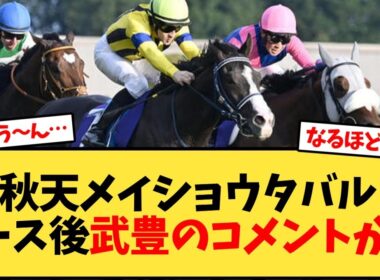 【天皇賞秋】メイショウタバル、レース後武豊のコメントが…【競馬反応集】
