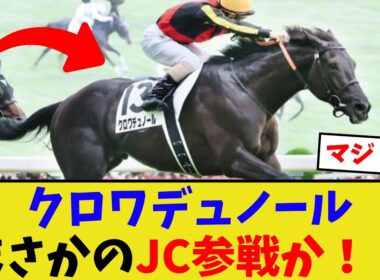 クロワデュノール、ジャパンカップ出走か！？【競馬反応集】