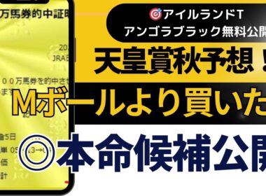2025年　天皇賞秋予想【マスカレードボールより買いたい馬を公開】