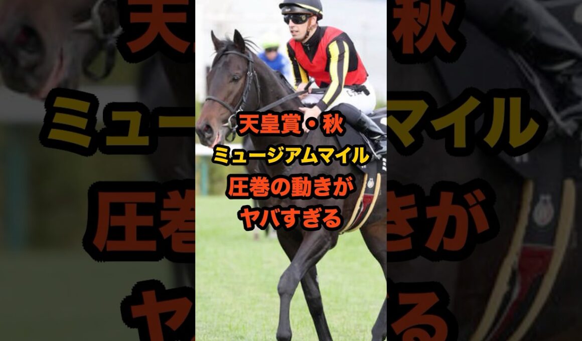 ミュージアムマイルの異次元調教に陣営も衝撃…天皇賞秋で皐月賞馬が古馬に挑む #天皇賞秋 #競馬 #ミュージアムマイル