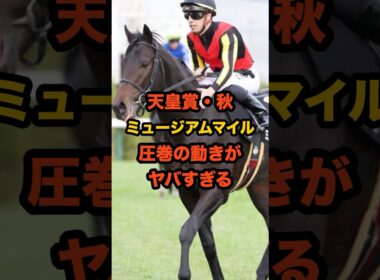 ミュージアムマイルの異次元調教に陣営も衝撃…天皇賞秋で皐月賞馬が古馬に挑む #天皇賞秋 #競馬 #ミュージアムマイル