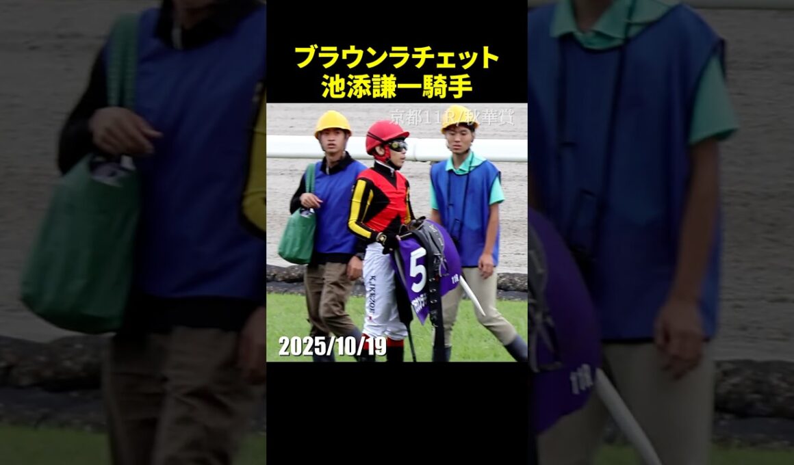 秋華賞ブラウンラチェットの池添謙一騎手が入線後下馬するも重い症状はない模様 #池添謙一 #現地映像 #競馬 #jra #shorts