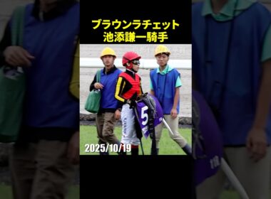 秋華賞ブラウンラチェットの池添謙一騎手が入線後下馬するも重い症状はない模様 #池添謙一 #現地映像 #競馬 #jra #shorts