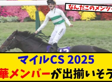 【マイルCS】「出走予定馬 豪華すぎるメンバーが出揃いそうでヤバい… 」に対するみんなの反応【反応集】