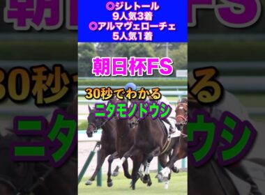 【朝日杯FS2024】30秒でわかるニタモノドウシ