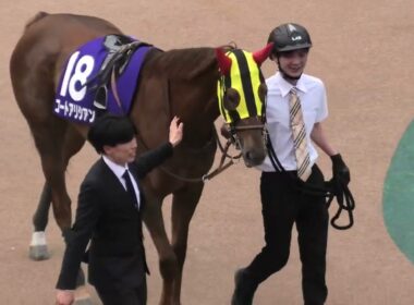 【第30回 NHKマイルカップ(GI)】現地パドック