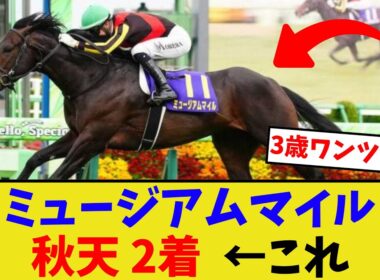 ミュージアムマイル、天皇賞秋2着だったけど…【競馬反応集】
