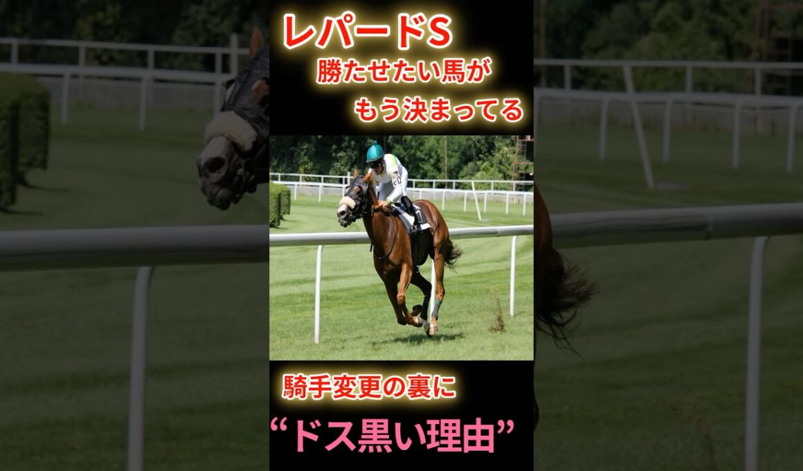 レパードS勝たせたい馬がもう決まってる騎手変更の裏にドス黒い理由　#競馬 #新潟競馬 #レパードステークス #重賞予想 #競馬予想 #無料予想 #競馬好き #馬券 #馬券生活 #競馬情報 #競馬ファン