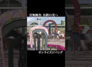 【予告】フェブラリーステークス2025  #競馬 #フェブラリーステークス #ペプチドナイル #サンライズジパング #ミッキーファイト #コスタノヴァ #エンペラーワケア