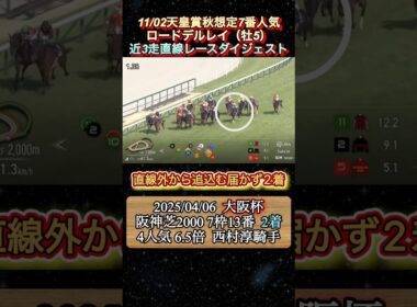 【ロードデルレイ】 天皇賞秋想定7番人気！近3走ダイジェスト　#競馬  #天皇賞秋  #ロードデルレイ  #shorts