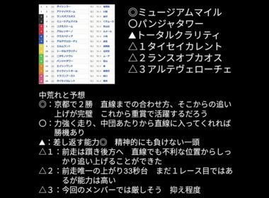 朝日杯フューチュリティステークス #朝日杯フューチュリティステークス　＃ミュージアムマイル　＃競馬予想