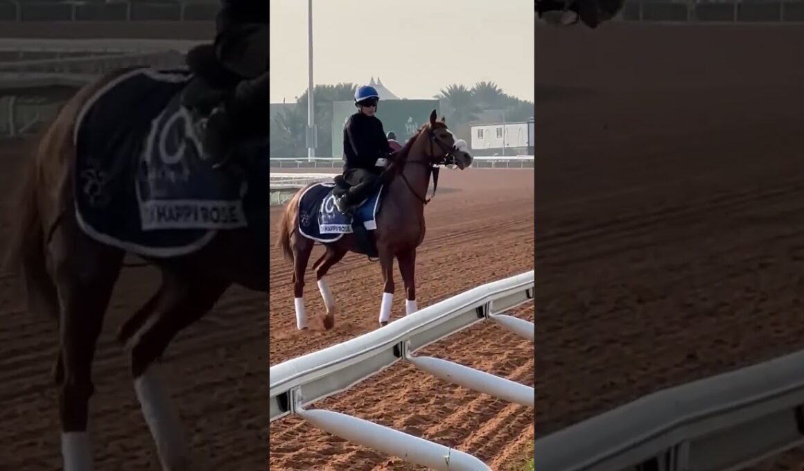 #テンハッピーローズ、現役生活お疲れ様でした！ #競馬 #海外競馬 #ヴィクトリアマイル