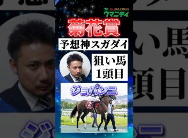 【菊花賞2025】予想神スガダイの注目馬①「ジョバンニ」 #菊花賞 #競馬予想 #ジョバンニ #shorts