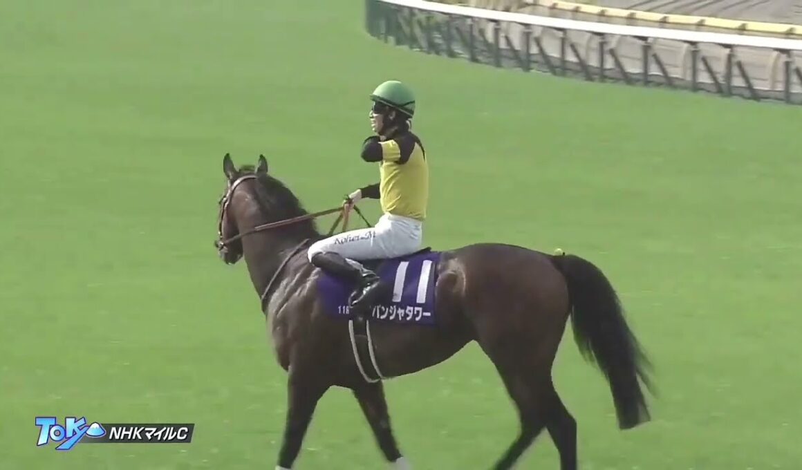2025年 第30回 NHKマイルカップ(G1)(パンジャタワー、松山弘平)
