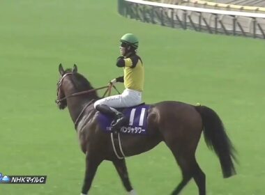 2025年 第30回 NHKマイルカップ(G1)(パンジャタワー、松山弘平)