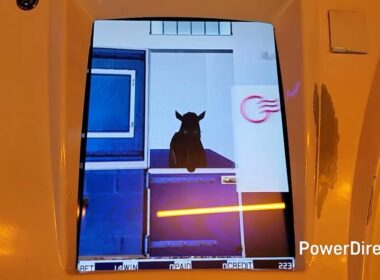 [スタホR] ココナンデス9 古馬最終盤！！ 中山グランドジャンプ～！！