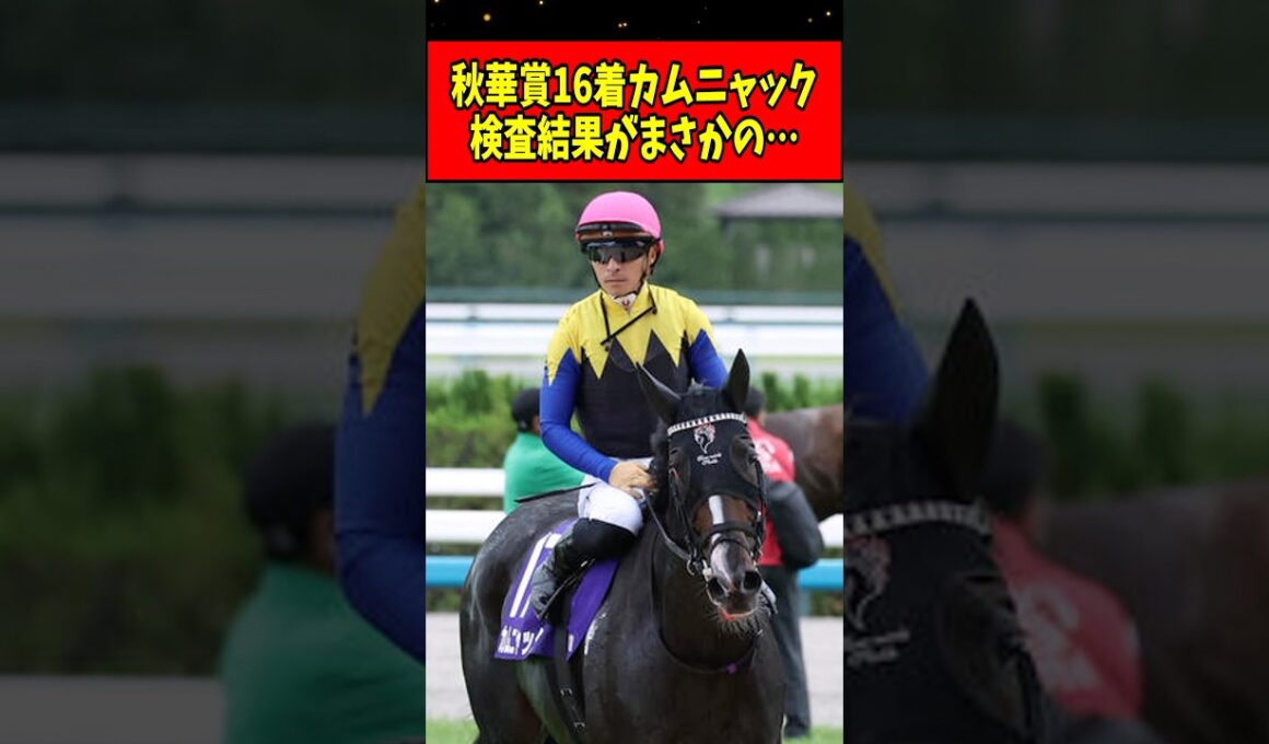 【速報】秋華賞16着のカムニャック、レース後の検査結果がまさかの…#shorts