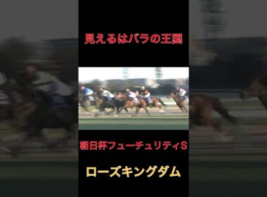 見えるはバラの王国ローズキングダム【朝日杯FS】#競馬#朝日杯フューチュリティS