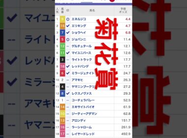 菊花賞　2025 予想印‼️#競馬 #競馬予想 #菊花賞 2025 予想 #shorts