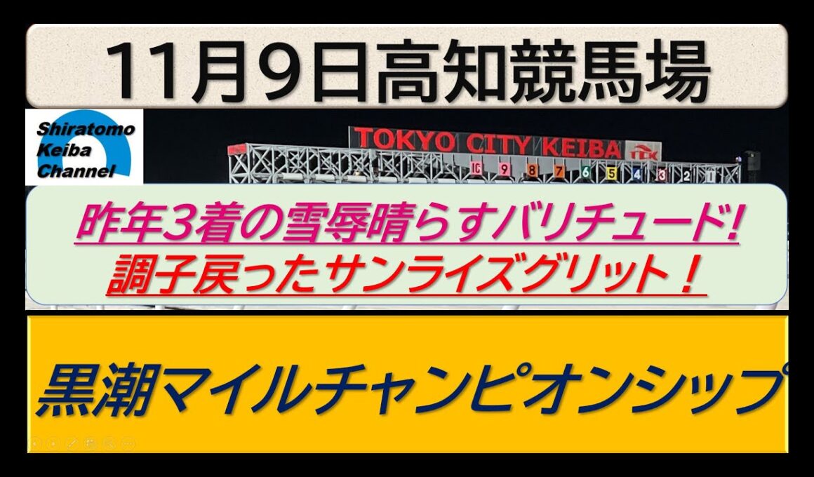 【競馬予想】黒潮マイルチャンピオンシップ～２０２５年１１月９日 高知競馬場 ：１１－２０