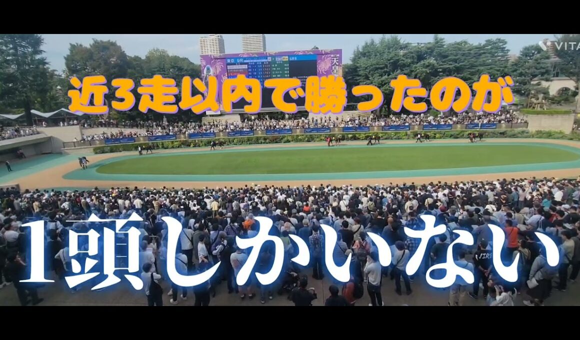 高知 黒潮マイルチャンピオンシップ(重賞)の予想