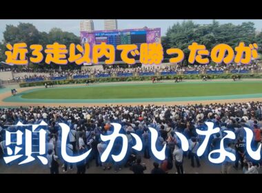 高知 黒潮マイルチャンピオンシップ(重賞)の予想