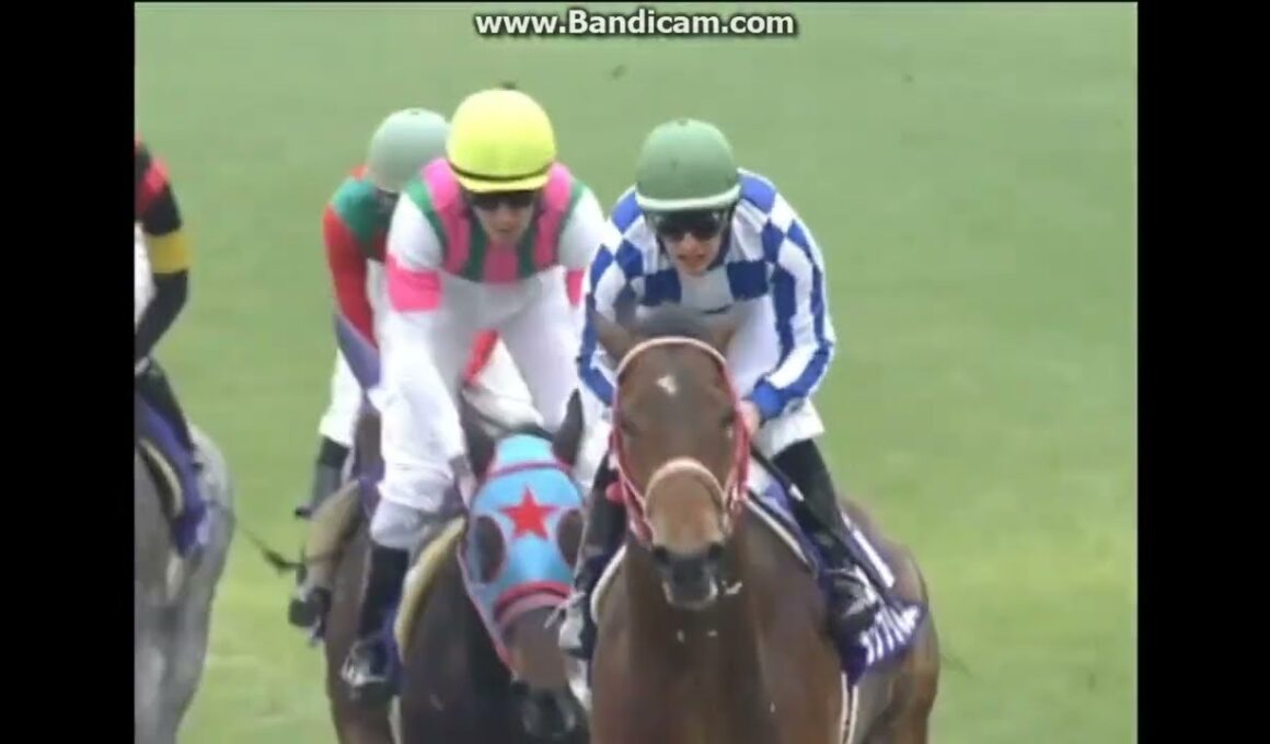 2010 朝日杯ＦＳ (GⅠ)　グランプリボス