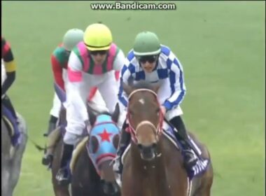 2010 朝日杯ＦＳ (GⅠ)　グランプリボス